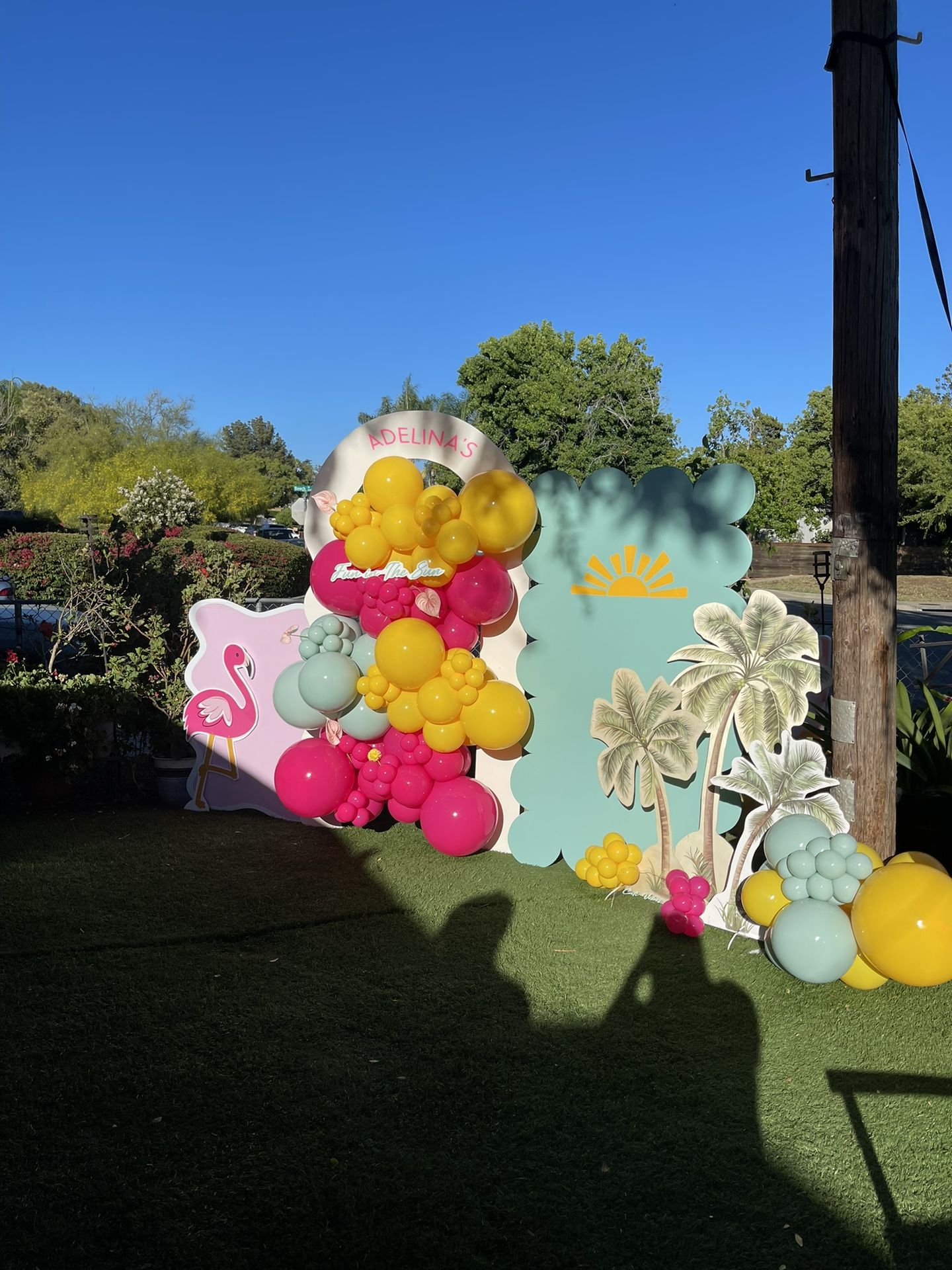 Backdrops | Balloons | Picnics | Events 