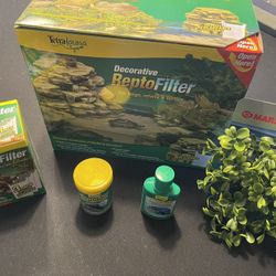 Turtle Frogs Reptiles 