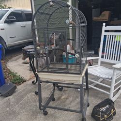 Bird Cage