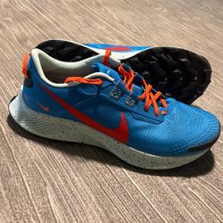 Nike Pegasus Size 10 Men’s