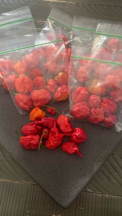 Carolina Reaper Hottest Pepper