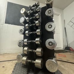 Hampton Chrome Dumbbell Set w/ Rack – Full Range 3–50 lb