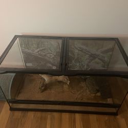Reptile Enclosure 