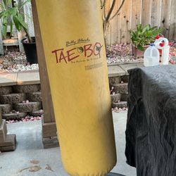Punching bag
