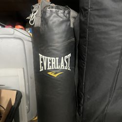 Punching bag 