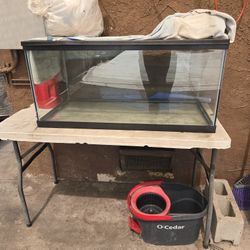 Large Reptile Tank