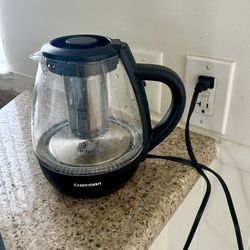 electric kettle with tea infuser 