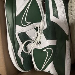 Nike Shoes (10 1/2)