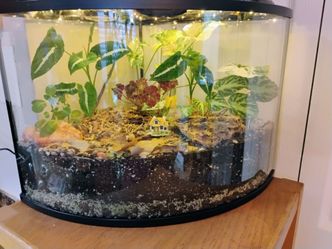 Bio-active terrarium