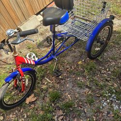 Mooncool 3 wheeled bike