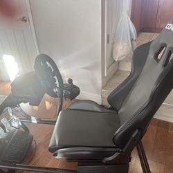 Professional Racing Simulator Setup 