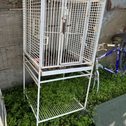 Regular Cage For Birds. 