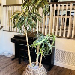 Faux Indoor Palm Tree
