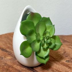 Faux Succulent Arrangement In Teardrop Egg Shape White Ceramic Pot Wall Planter Sconce Decor