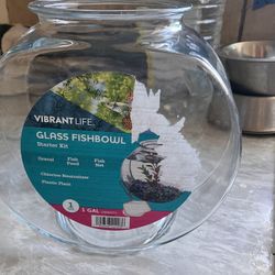 Fish Tank With Light And Filter 