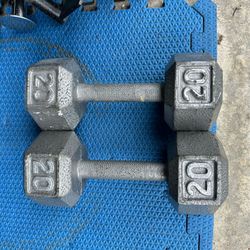 Dumbbells 20# (2)