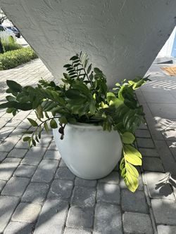 24" White Pot And Plant