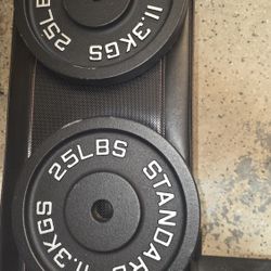 Pair Of Standard 1 Inch 25 lb Weight Plate