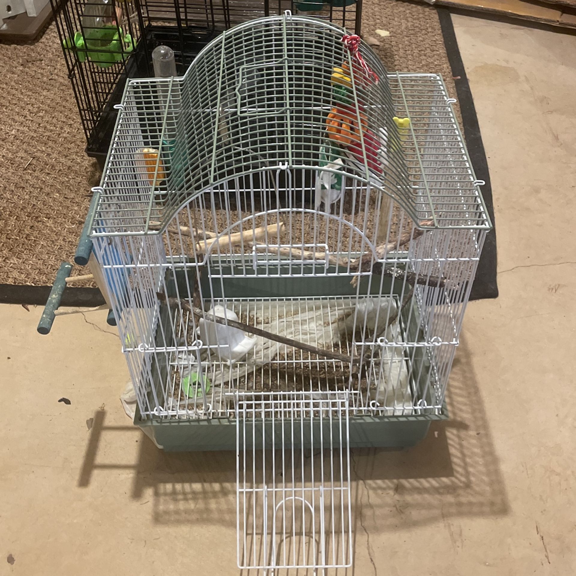 Parakeet Cage