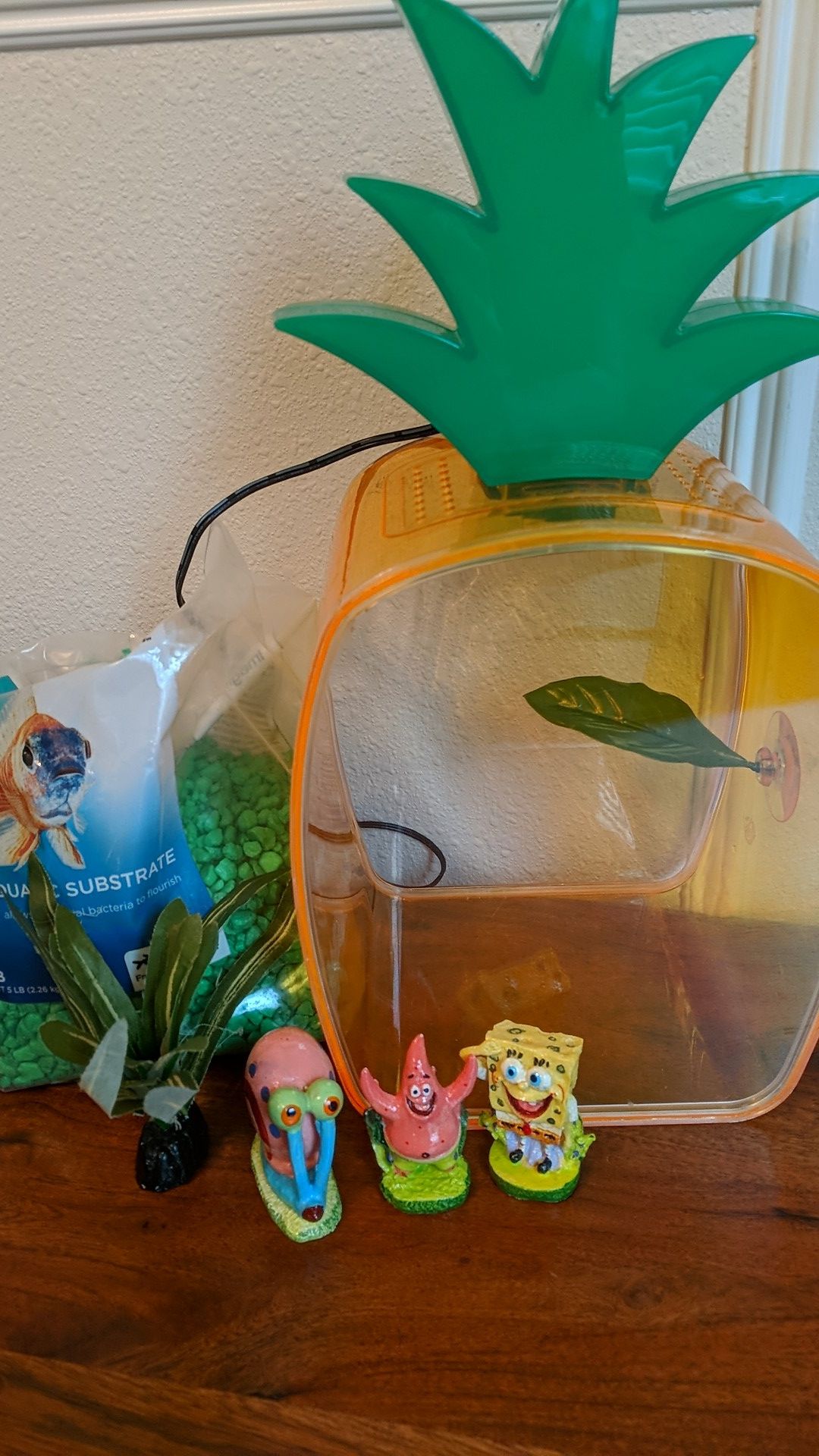Pina Aquata fish tank aquarium