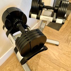Pair Of Stairmaster Adjustable Dumbbells With Stand
