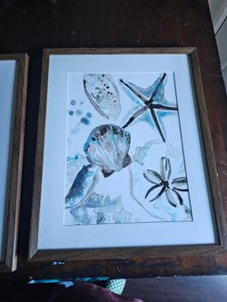 Framed Watercolor Seashell and Starfish Art