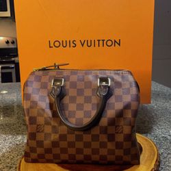 Louis Vuitton Speedy 25 (Damier Ebene)