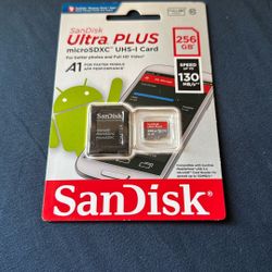 SanDisk 256gb Micro Sd