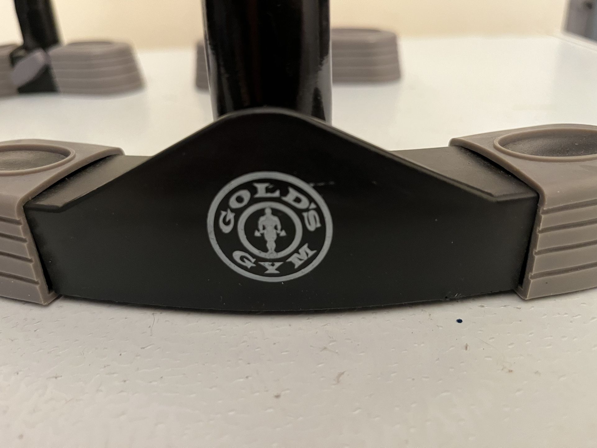 Gold Gym Push Up Bars