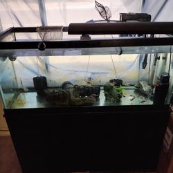 75 gallon Fish Tank With Heater Rocks And Top Pump And Under Water Pump And Stand 