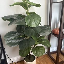 Fake/faux Leaf Plant
