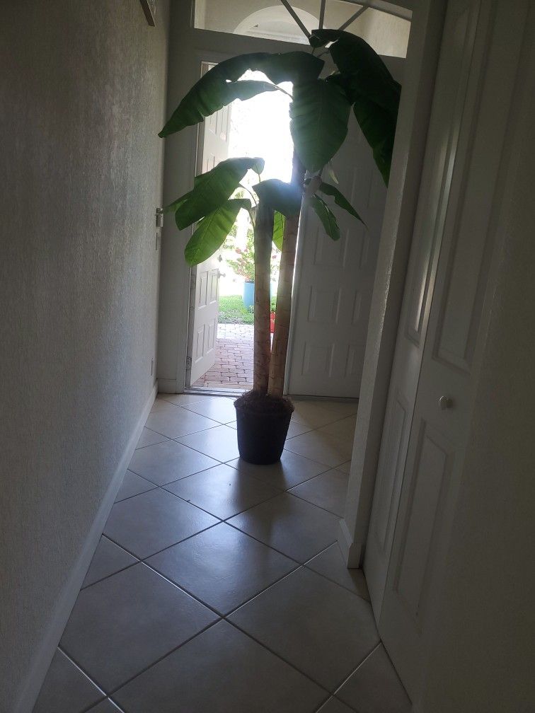 Fake Large PLANT
