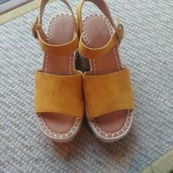 Universal Thread Wedges Size 8W