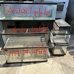 Tanks (Reptile or Fish)