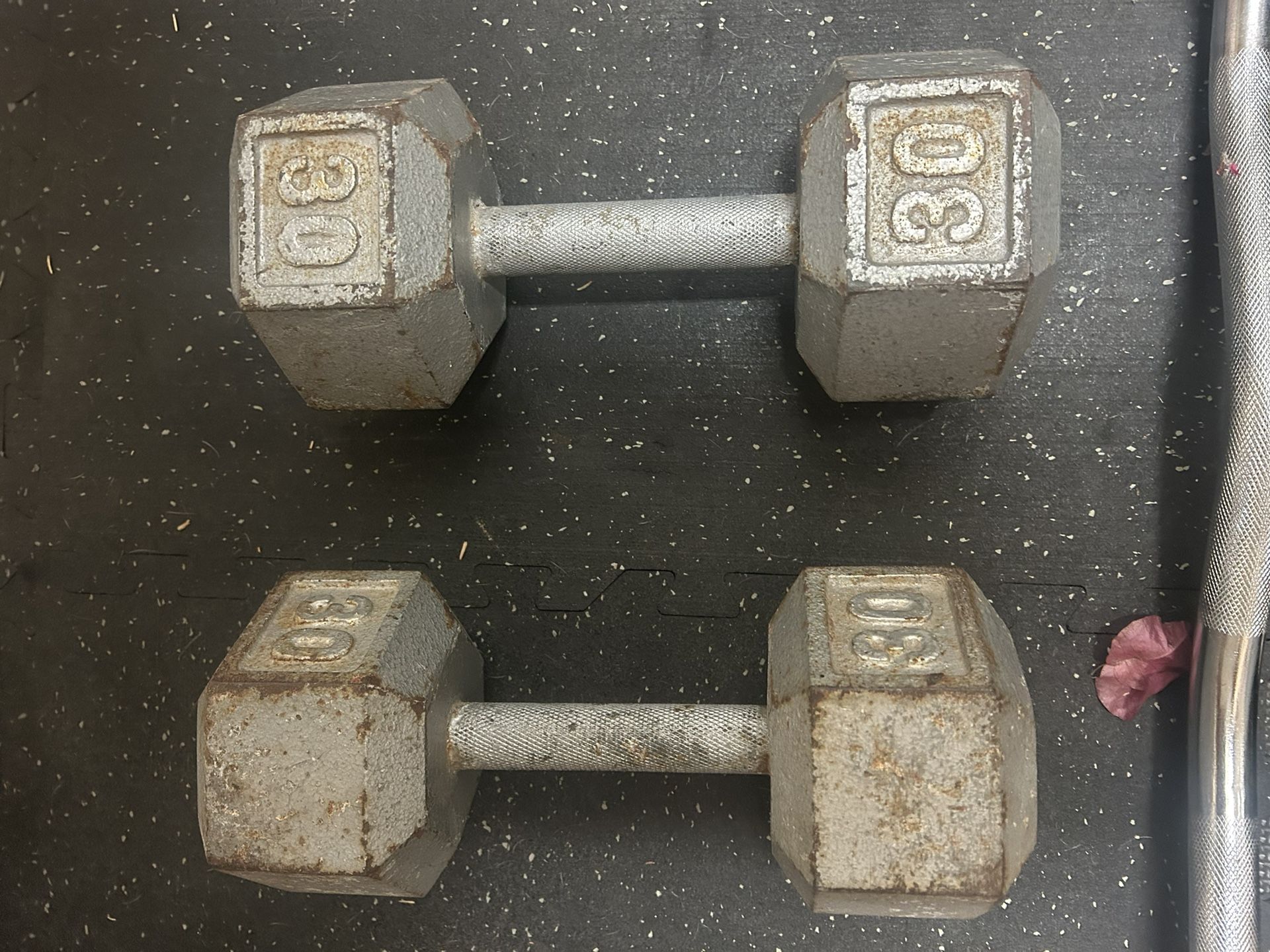 30 Lb Dumbbell