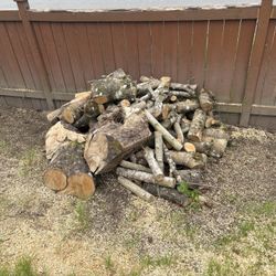 Maple Firewood 
