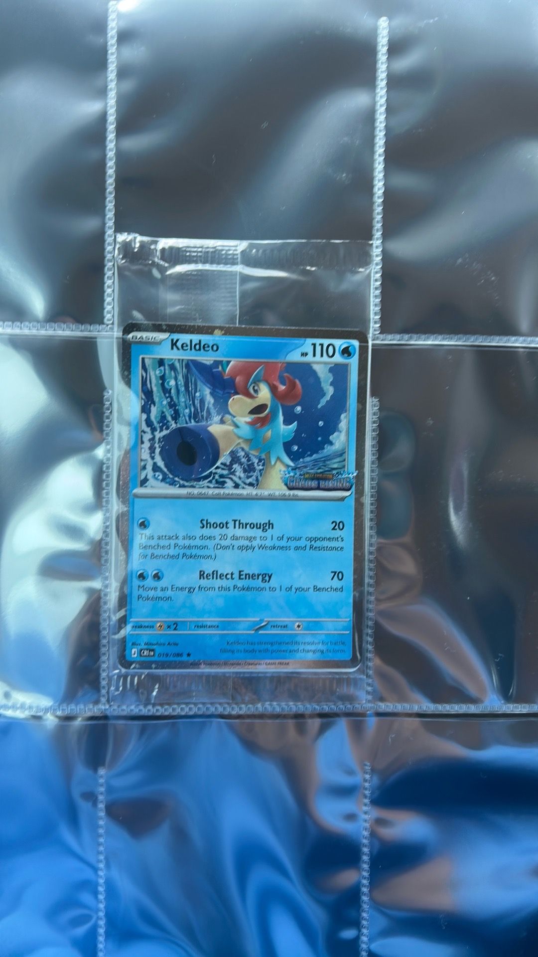 Keldeo Chaos Rising Promo Card