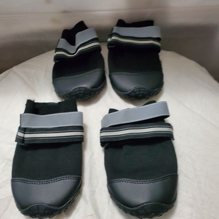 What Size Shoe Does My Dog Wear