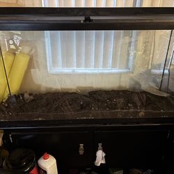 Dry Aquarium and Cabinet