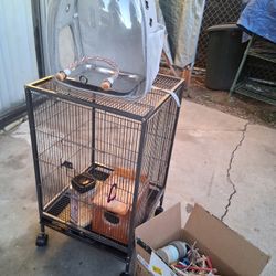 Bird Cage 
