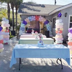 Balloon Decor 🎈