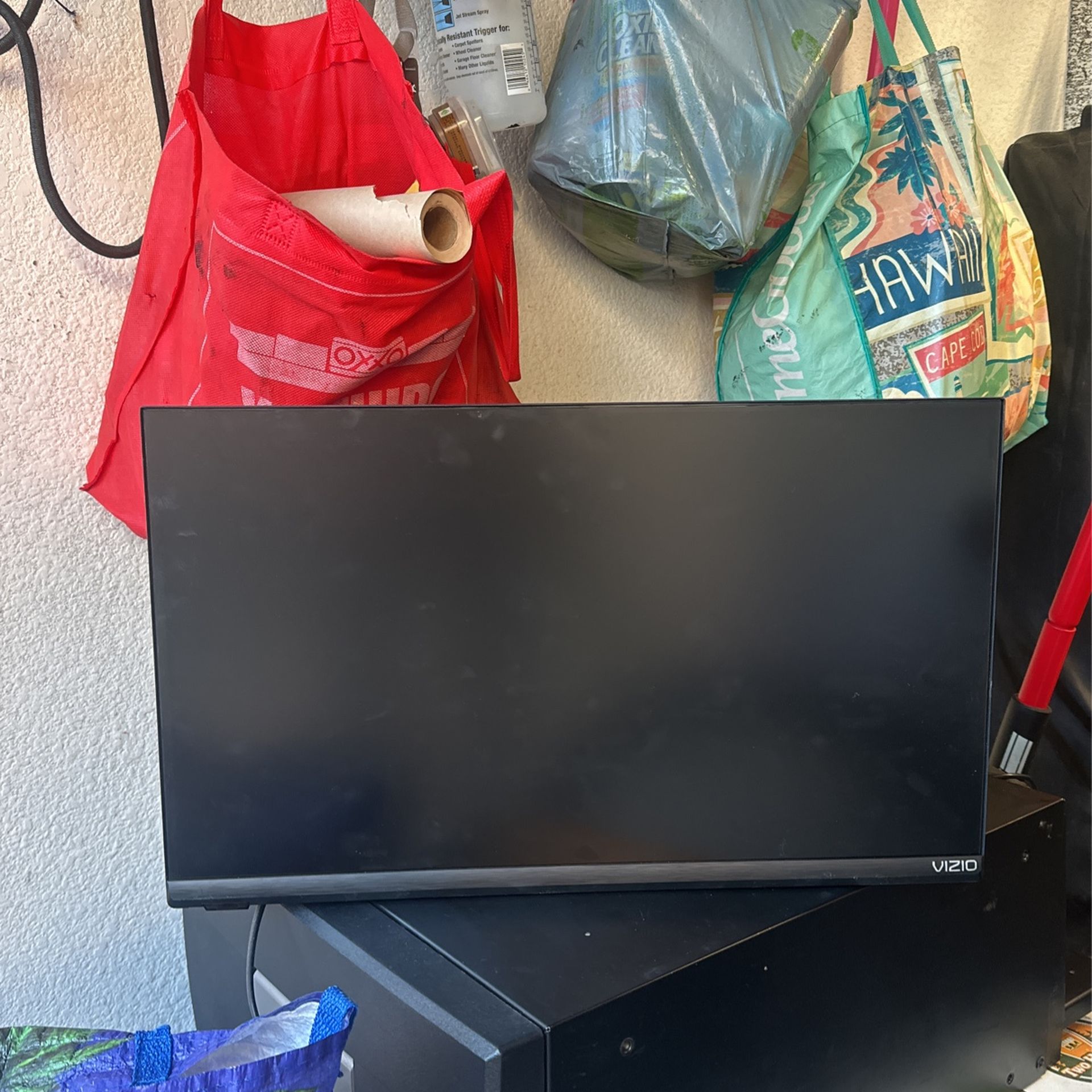 19” VIZIO Smart Tv With Fire Stick