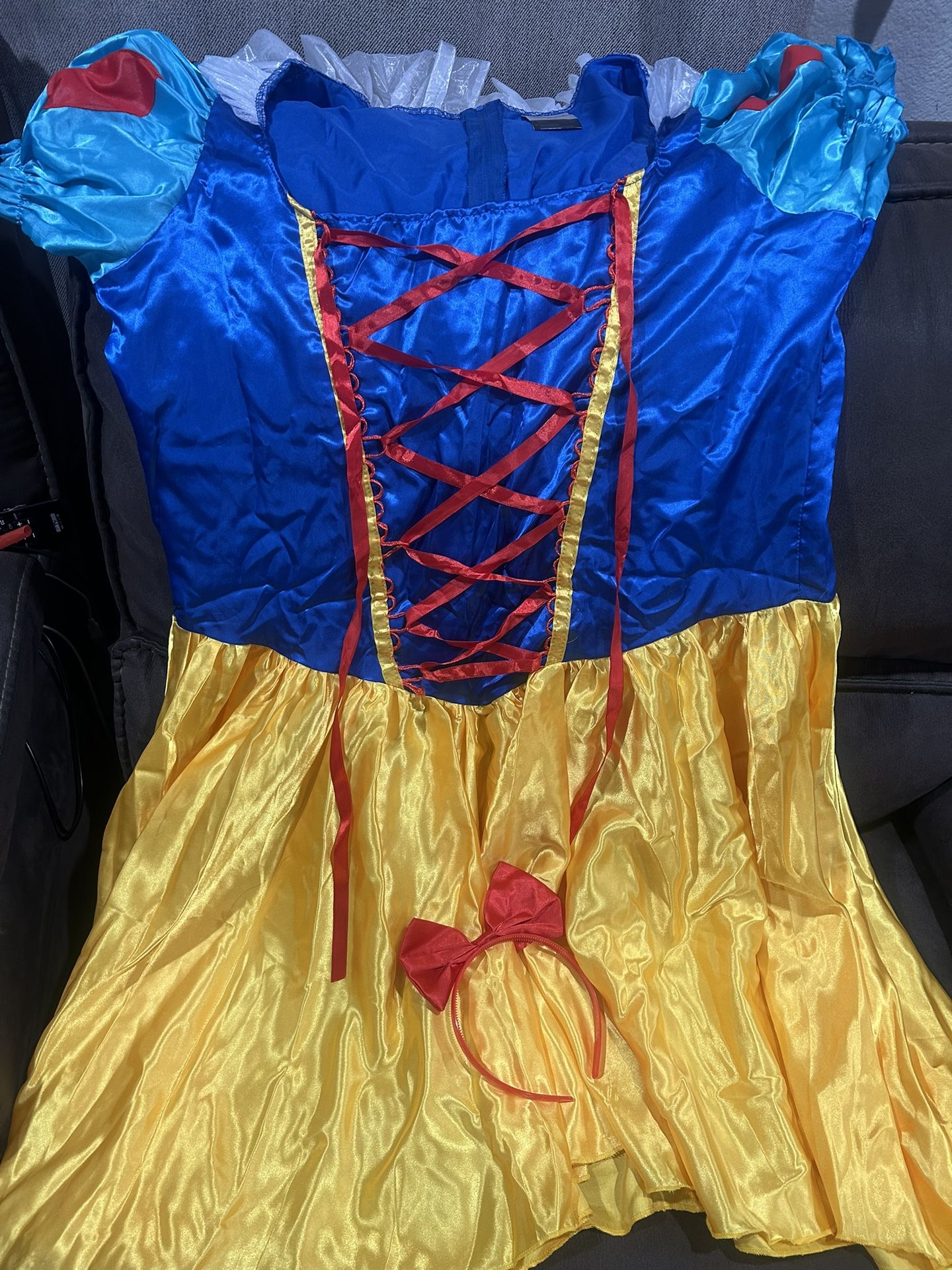 Snow White Adult Costume - Disney Brand 