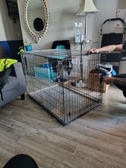 Large Wire Dog Crate