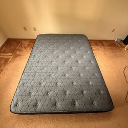 Sealy Queen Mattress