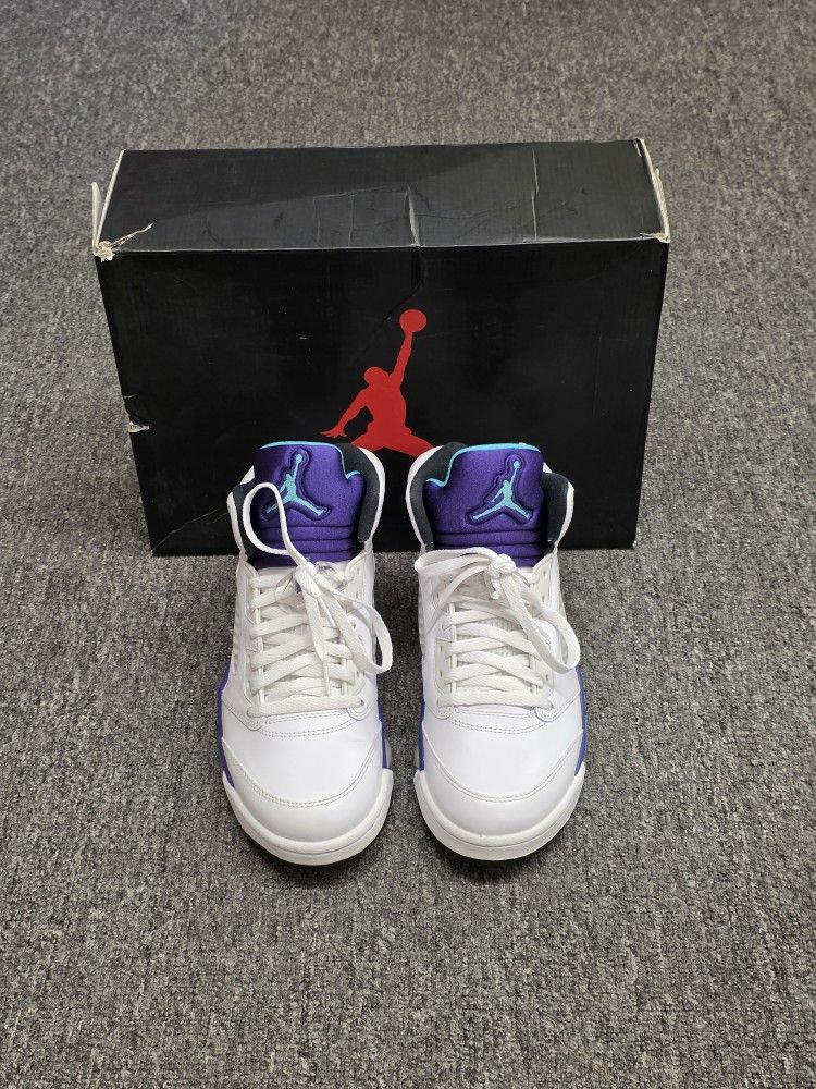 Nike Air Jordan 5 Retro Grape 2013 Size 8.5 136027-108