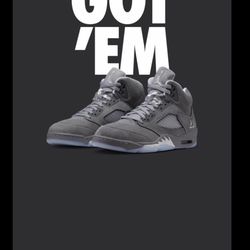 Air Jordan 5 “Wolf Grey” size 14