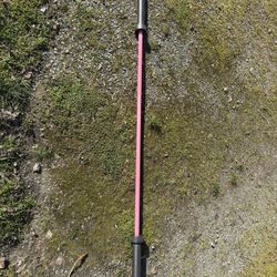 Rep Fitness Colorado Bar 15kg pink