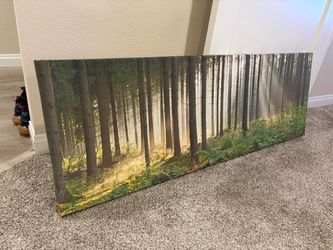 Canvas wall decor