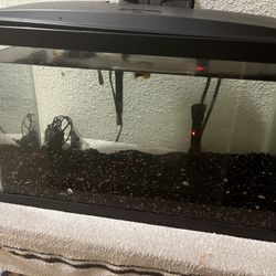 10 Gallon Fish Tank